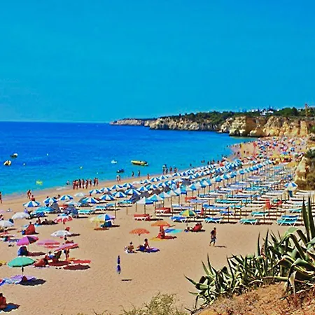 Silvestre Alcantarilha * Silves